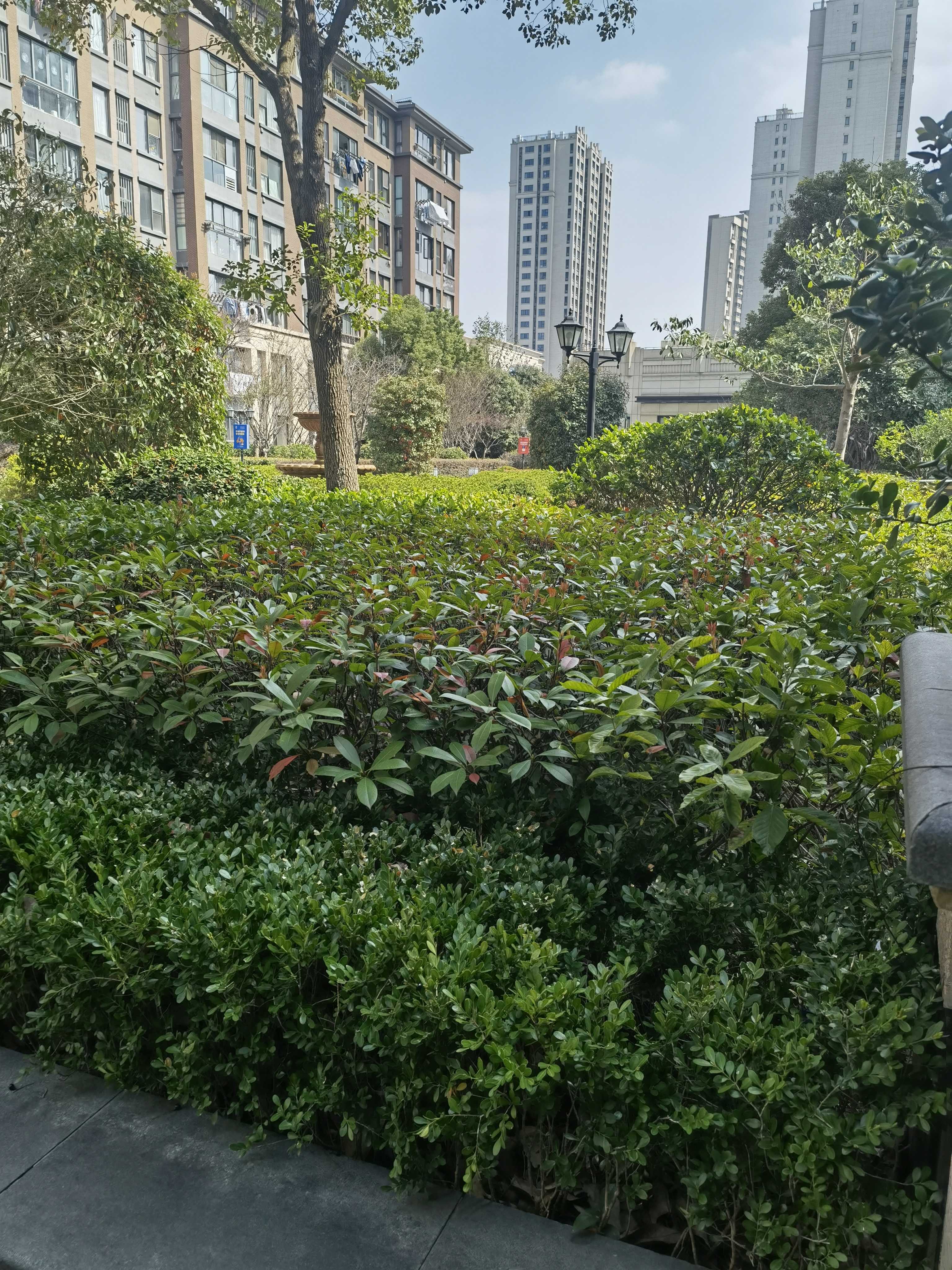 上海大成名庭二手房房源图片