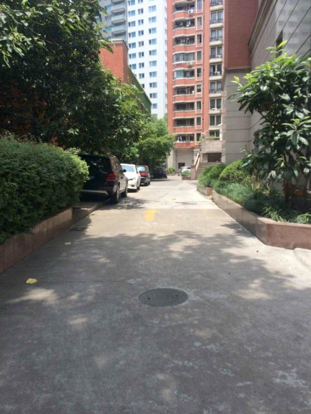 上海梧桐花园A座二手房房源图片