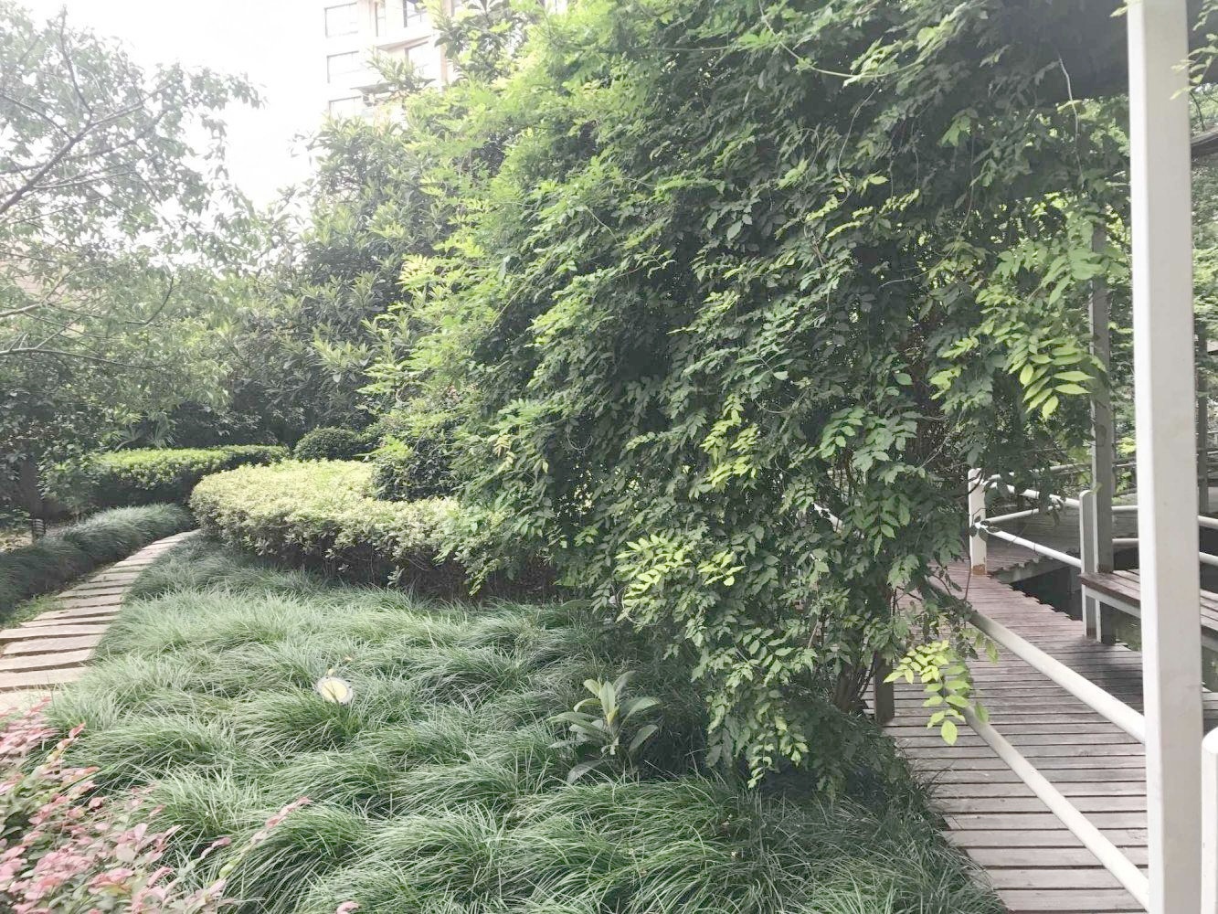 上海步高苑二手房房源图片