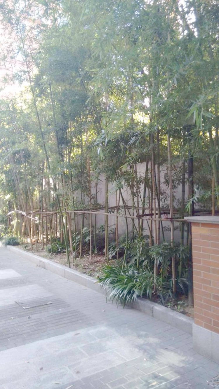 上海申亚瑞庭二手房房源图片
