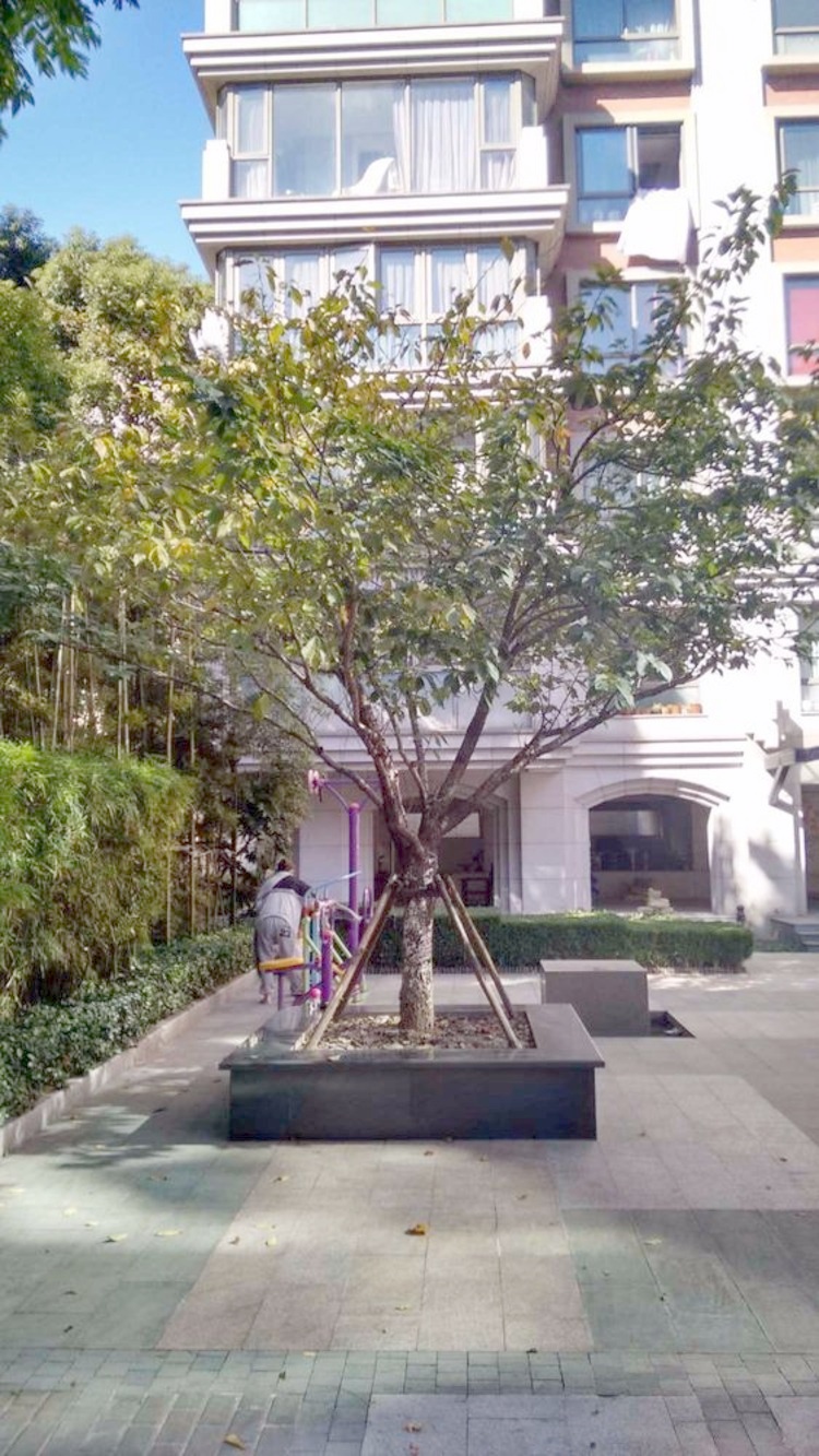 上海申亚瑞庭二手房房源图片
