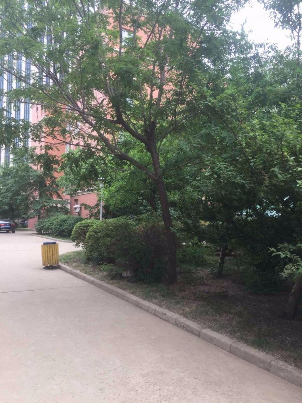 沈阳朗怡居二手房房源图片