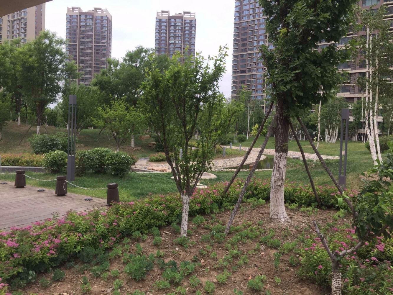 沈阳御景新世界二手房房源图片