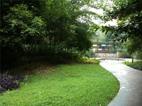 高新区神仙树上海花园248平售400万