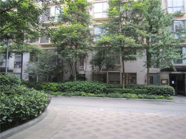 高新区神仙树上海花园248平售400万