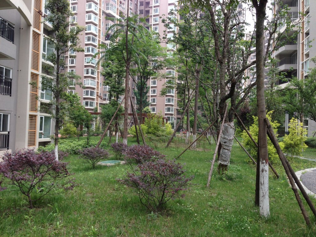 川大文星花园 8即将抵达 带入户花园 性价比超高哦 等你