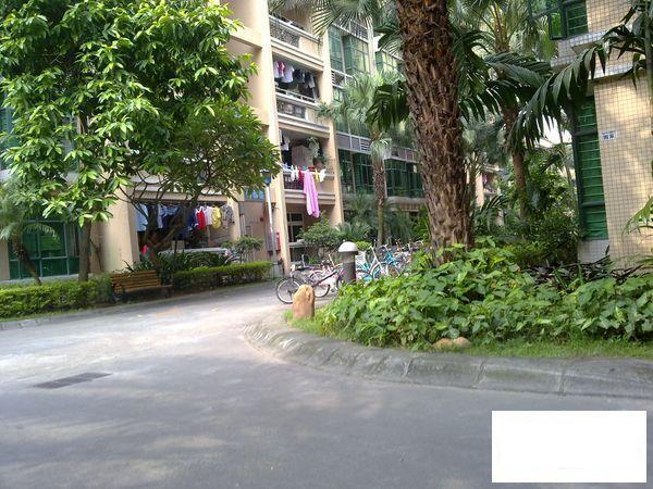 本人郑重承诺一切房源都是自己亲自到房屋实勘,或者_东莞锦江花园二手