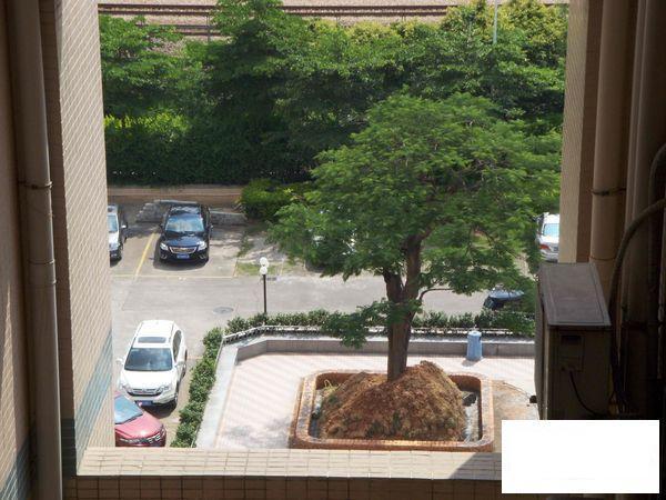 带家私电器 房子保养良好 免双税 生活方便_东莞塘厦花园中心二手房