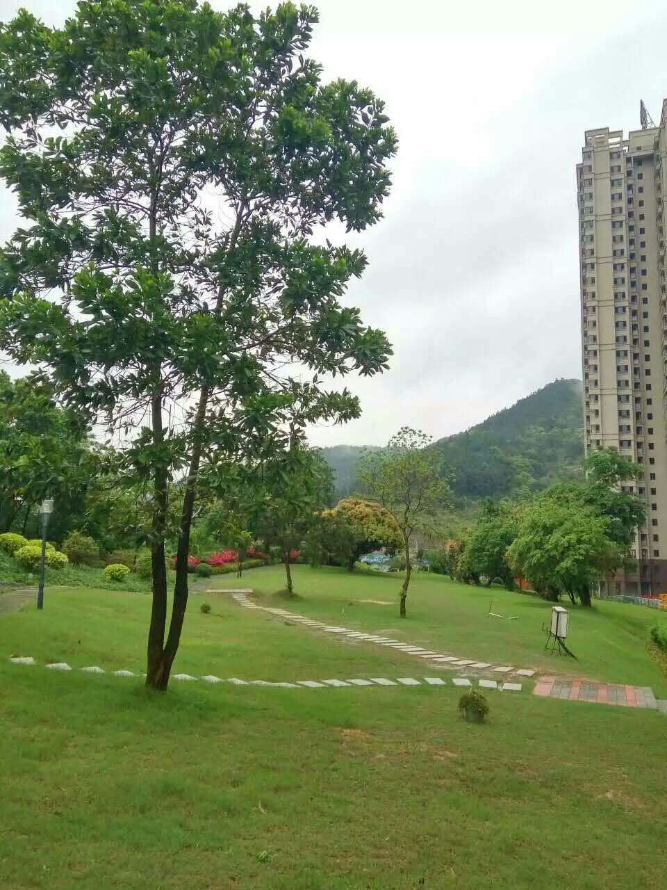 中山锦绣蓝山图片