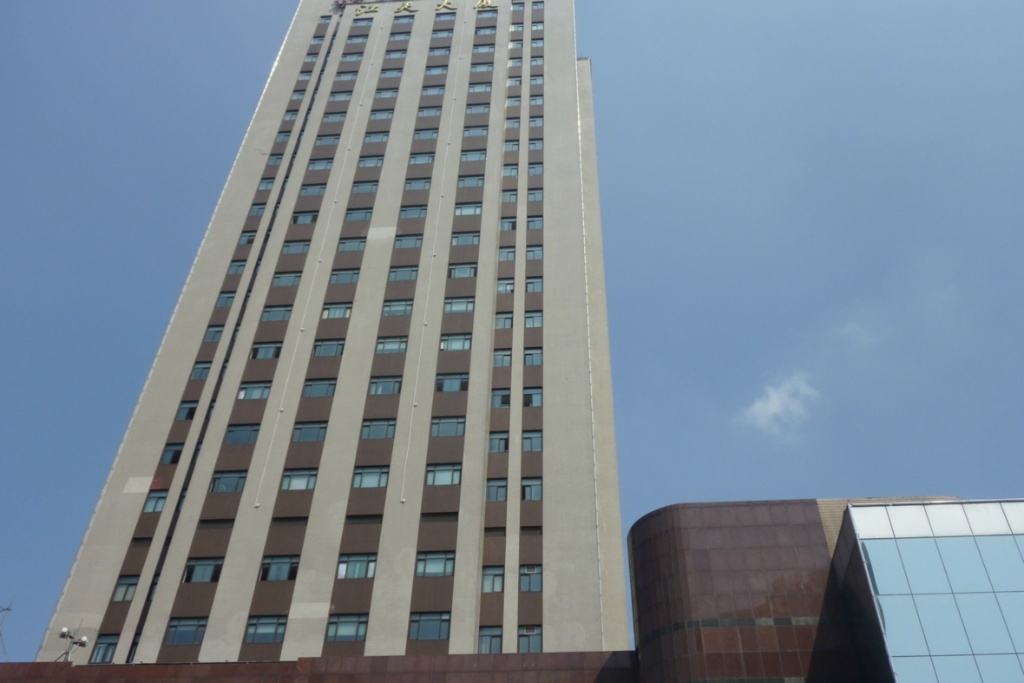 世博馆旁边江天大厦200m便宜出租,精装修,房型正