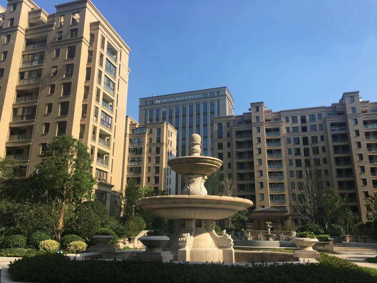 上海卡森卫星城外景图