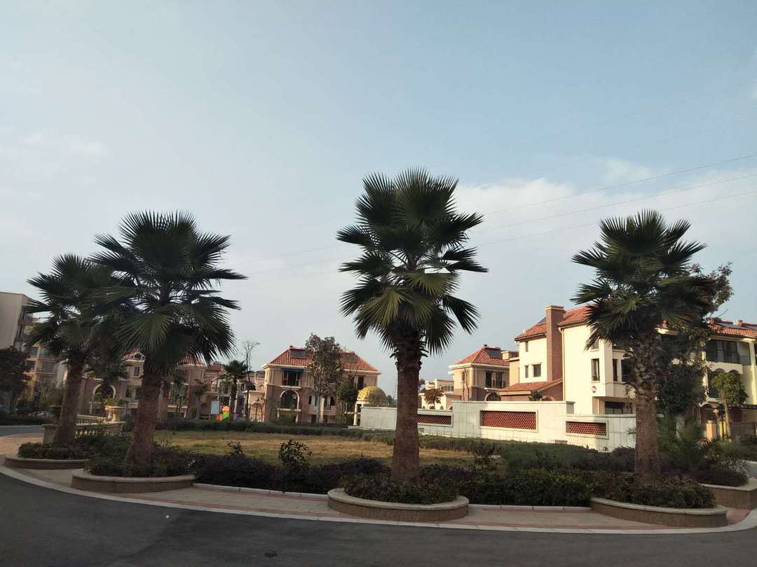 49万2房 楚雄南北102平精装茶花谷香槟郡4楼