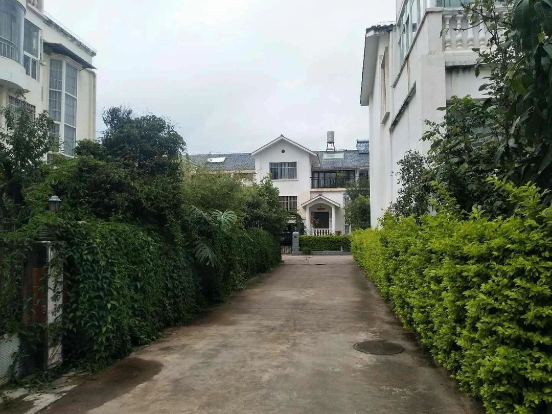 楚雄好楼层195万豪装金康花园北院南北5房 243.7平